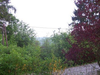 Aussicht ins Gr&uuml;ne, &copy; Elfriede Kazda