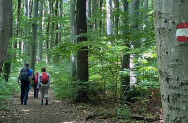 Summer: Hiking in the nature park, © Naturpark Purkersdorf