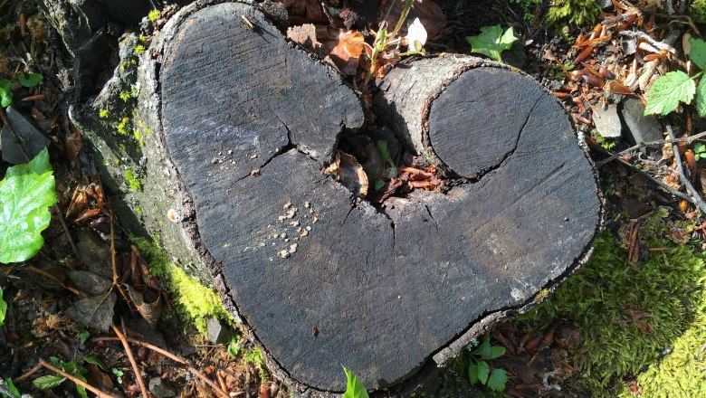 A heart for nature