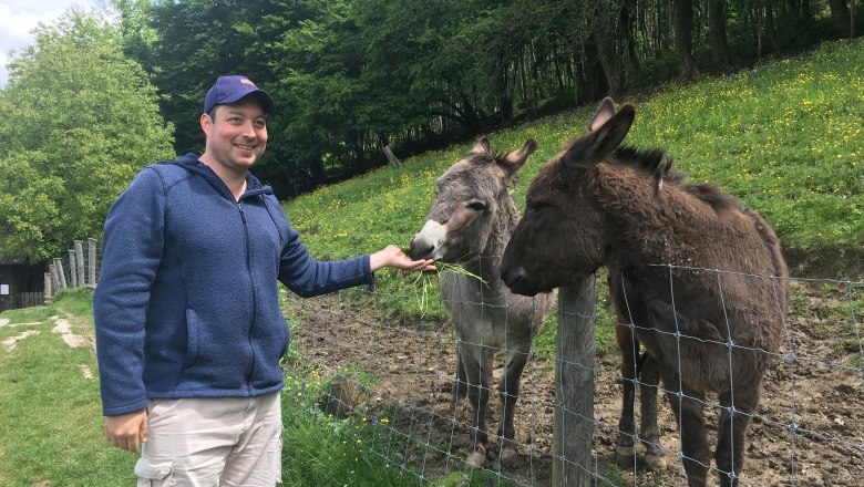 Tiergehege: Die Esel Willi und Benjamin, © Naturpark Purkersdorf