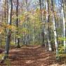 Hiking trails in the Vienna Woods, &copy; Elfriede Kazda