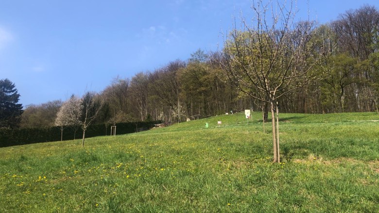 Feihlerh&ouml;he Streuobstwiese im Fr&uuml;hling