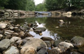 Along the &quot;Wien&quot; river