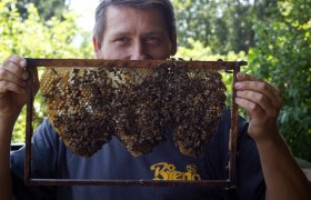 Our beekeeper &quot;Bieno&quot; produces organic honey.  , © Naturpark Purkersdorf