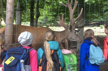 Erlebnisangebot &quot;Wildtiere&quot; (für Schulen &amp; Kindergärten), © Naturpark Purkersdorf