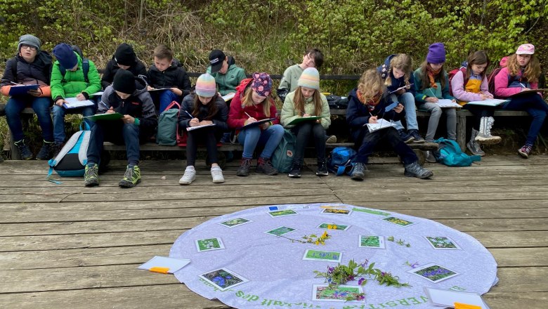 Wald ist Klasse im Frühling, © Naturpark Purkersdorf