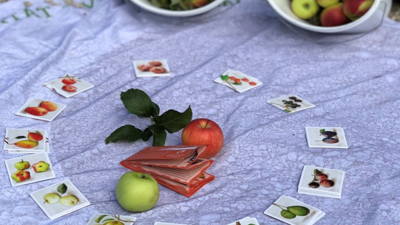 Feihlerh&ouml;he Apfelernte Aktionstag 2021, &copy; Naturpark Purkersdorf