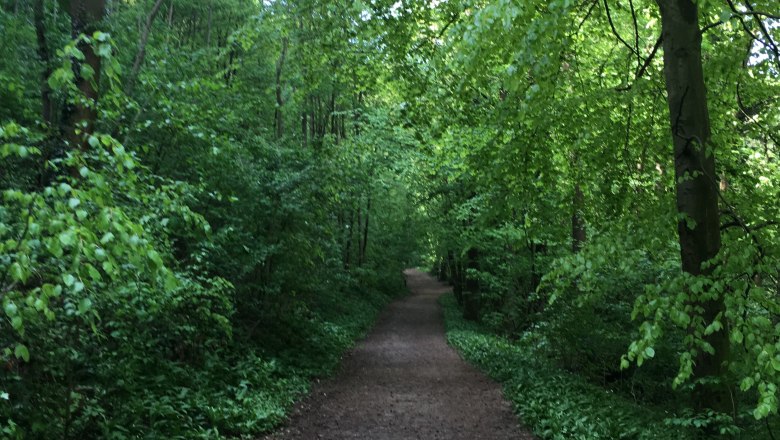 Nature discovery trail