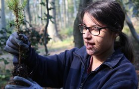 72 Stunden im Einsatz, © Naturpark Purkersdorf