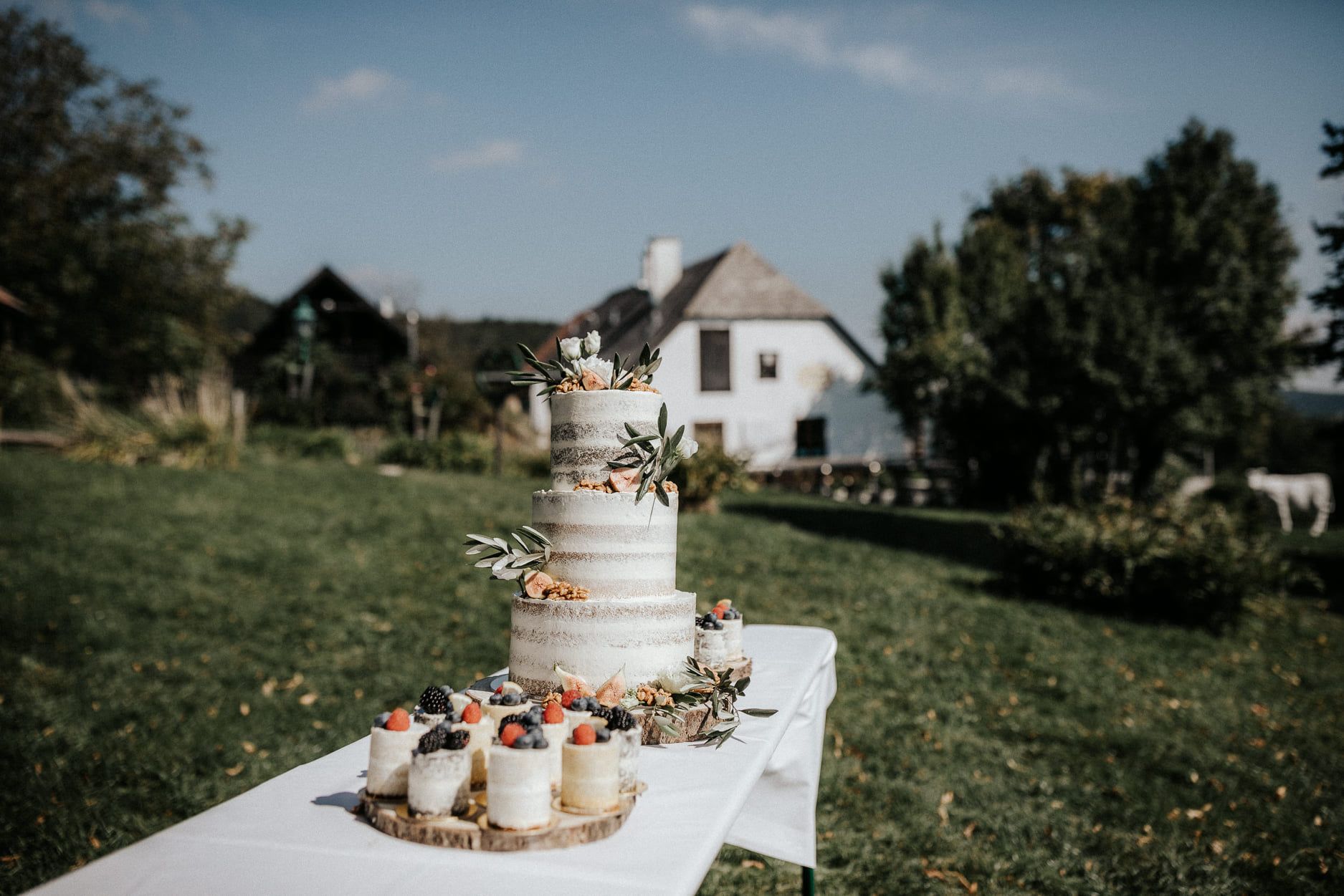 Wedding cake
