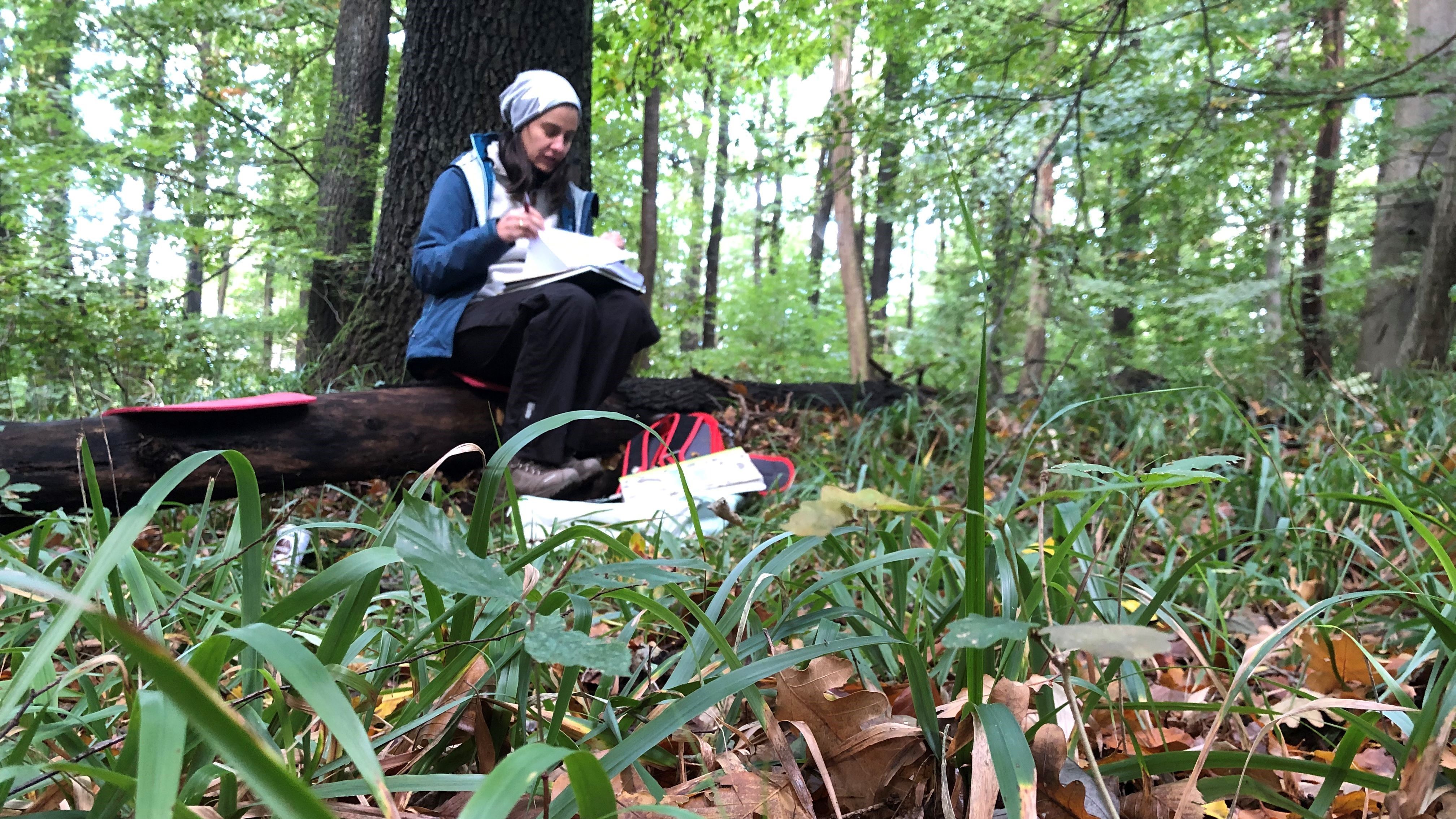 Naturpark 2030: Frau sitzt in der Natur