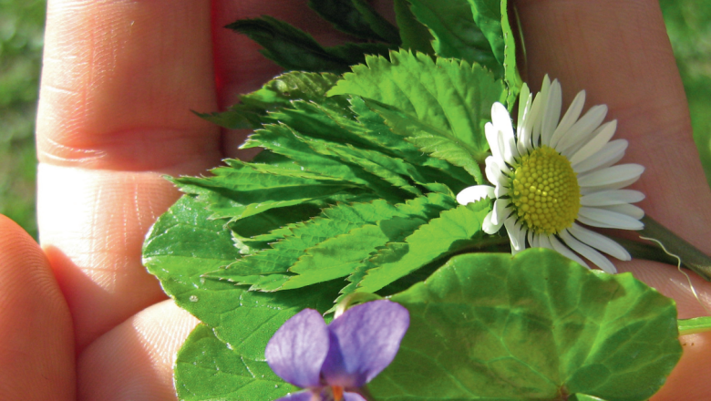 Delicious ingredients from the Nature Park 