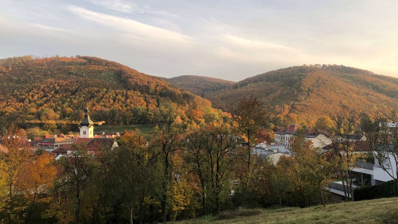 Veranstaltung: Aufblühen beim Waldfest auf der Feihlerhöhe 2021, © Naturpark Purkersdorf