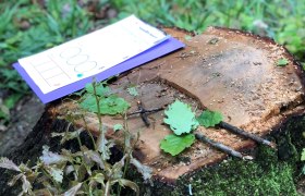 Learning in nature - math is fun! , © Naturpark Purkersdorf