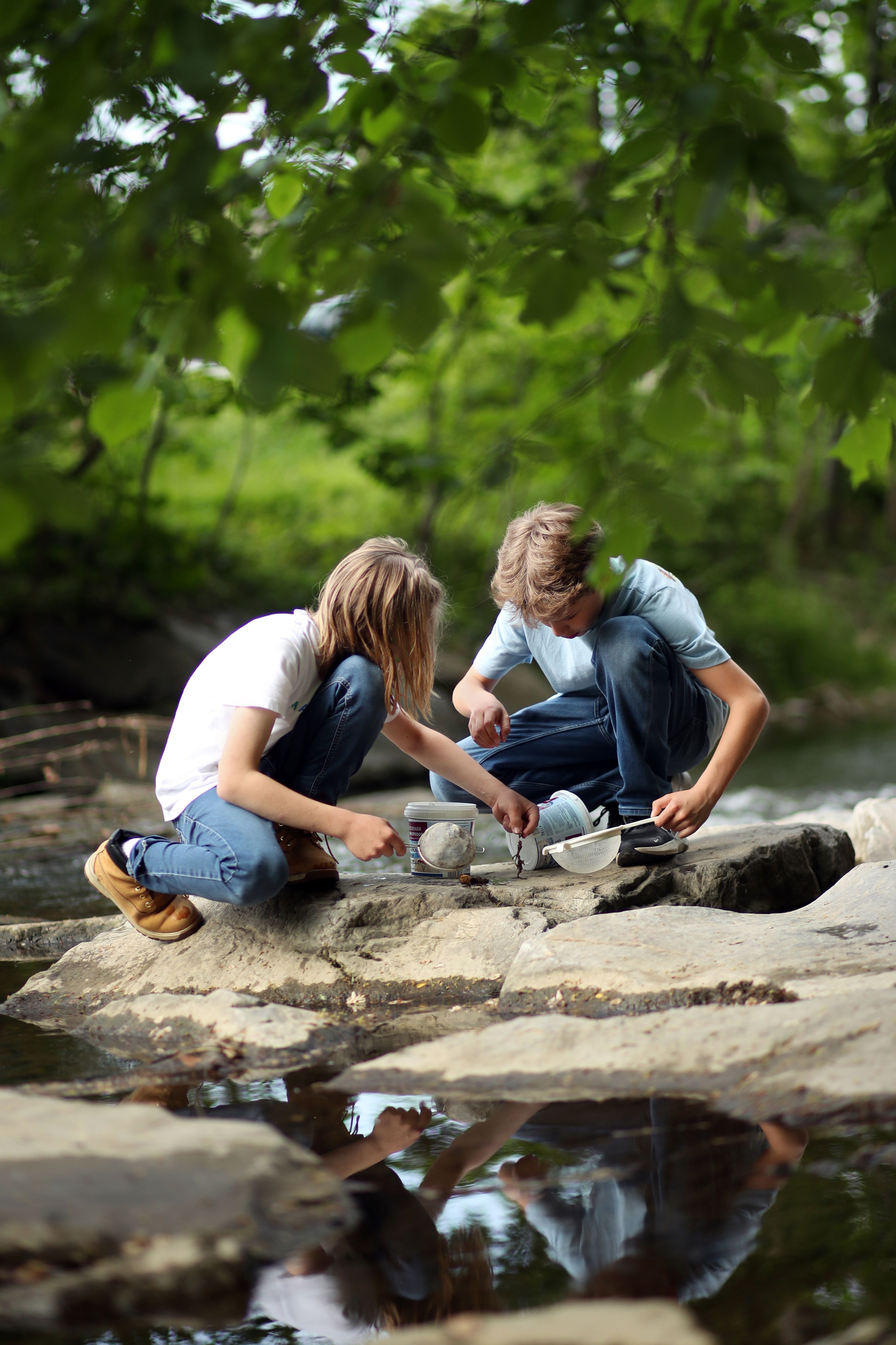 Kinder forschen am Wienfluss auf Steinen