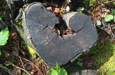 A heart for nature