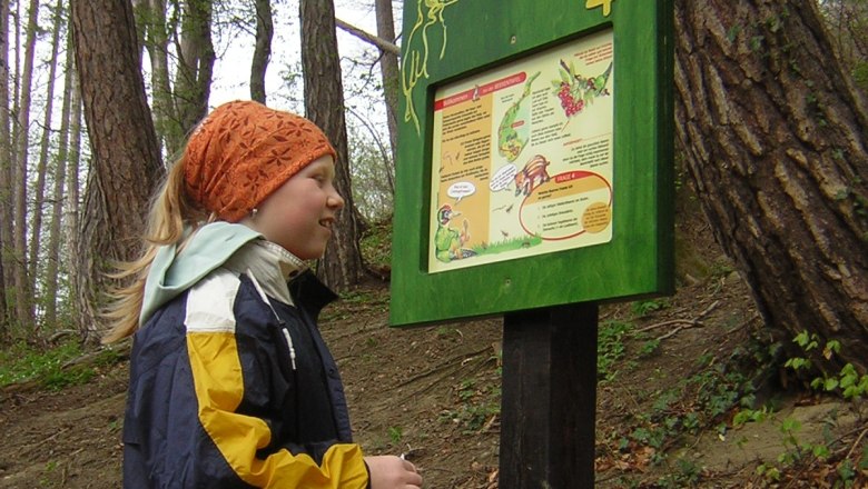 SAWI woodpecker station on the nature discovery trail