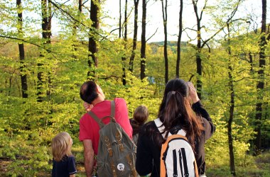 Erlebnisangebot: Waldtouren mit Guide_2, © Natürlich Lernen