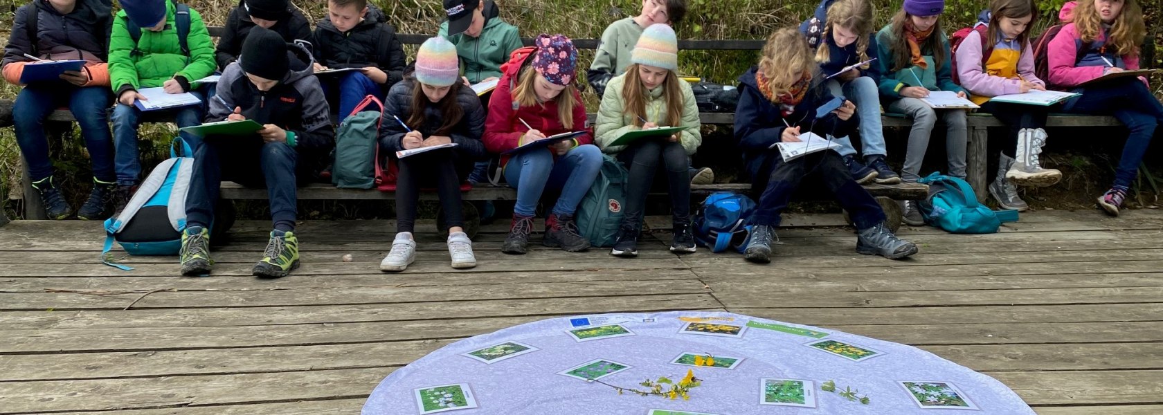 "Wald ist Klasse" im Fr&uuml;hling, &copy; Naturpark Purkersdorf