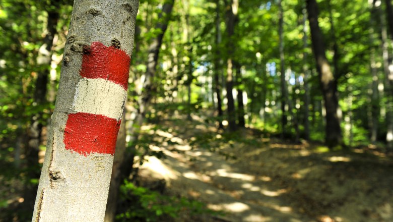 Well-marked trails, © Naturpark Purkersdorf