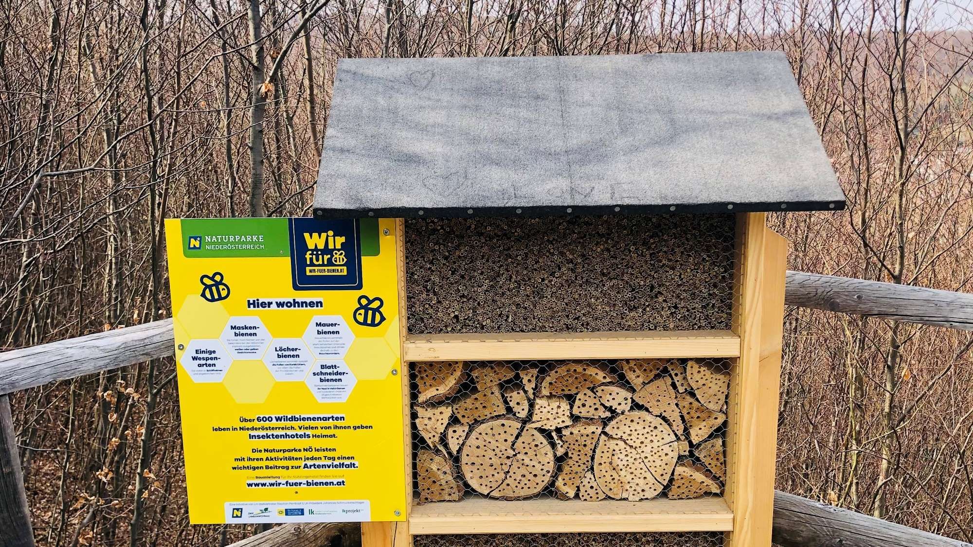 Auf der Aussichtsplattform befindet sich ein Insektenhotel mit Wildbienen.