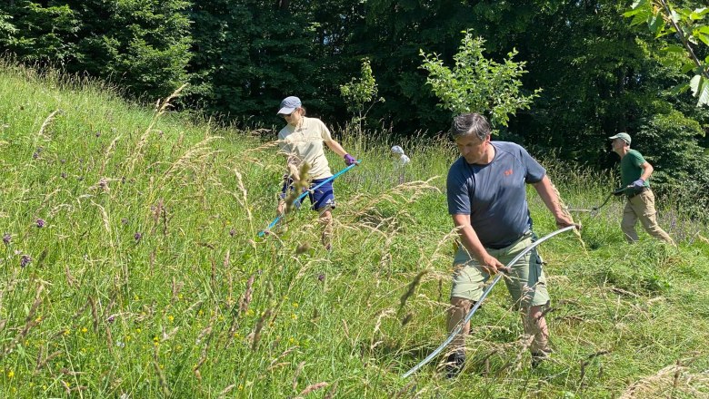 Feihlerhöhe action day June 2022, © Naturpark Purkersdorf