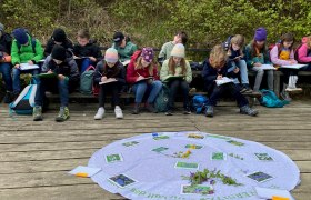 Wald ist Klasse im Frühling, © Naturpark Purkersdorf