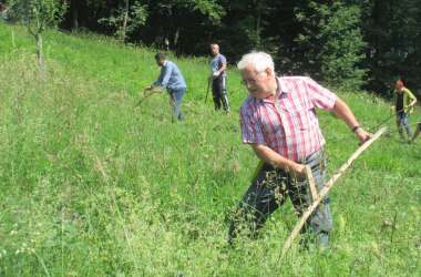 Unser Einsatz für die Natur, © Naturpark Purkersdorf