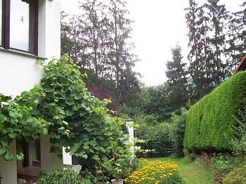 Garten, &copy; Elfriede Kazda