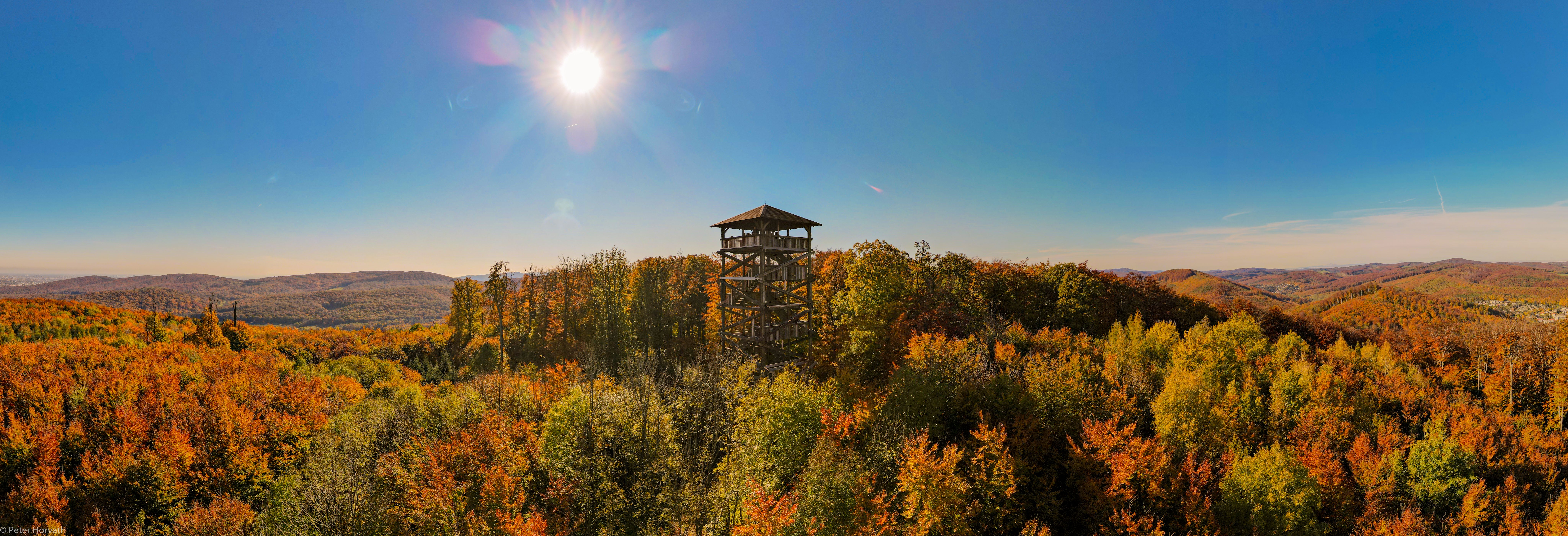Im Wald steht die Rudolfswarte. Die Bäume drumherum haben orangene Blätter. 