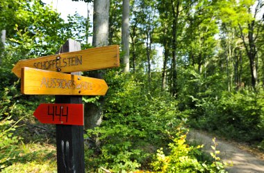 Hiking in the Wienerwald, © POV