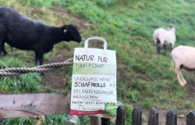 Sheep wool as a plant fertilizer, © Naturpark Purkersdorf