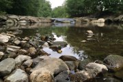 Lebensraum Wienfluss im Naturpark