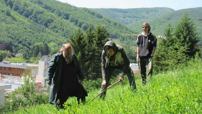 Scythe mowing at the Feihlerhöhe, © Naturpark Purkersdorf