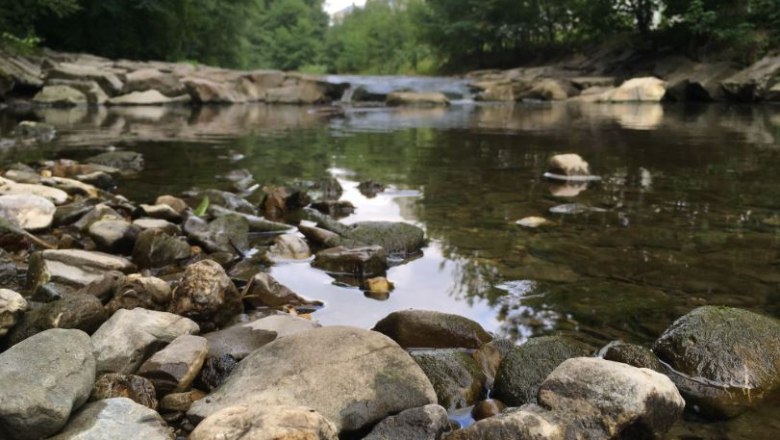 Lebensraum Wienfluss im Naturpark