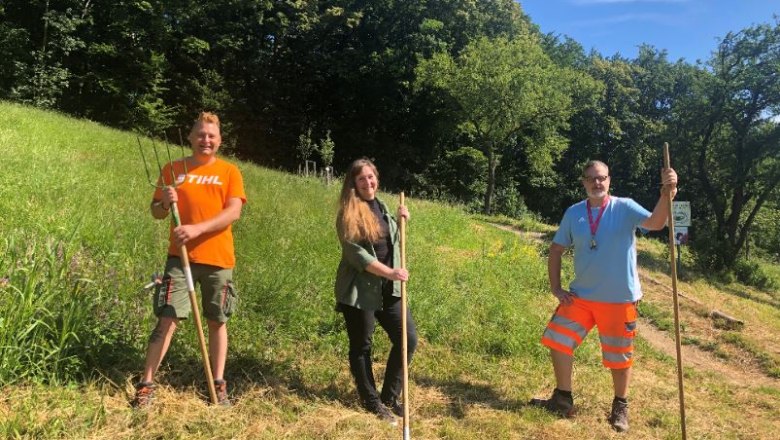 Veranstaltung: Einsatz auf der Feihlerhöhe Juli 2020, © Naturpark Purkersdorf