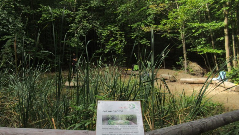 Forest biotope, © Naturpark Purkersdorf