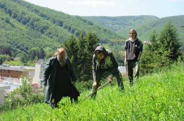 Scythe mowing at the Feihlerhöhe, © Naturpark Purkersdorf