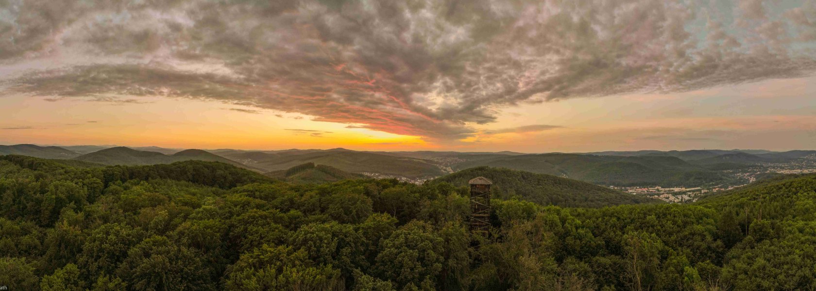 Rudolfswarte im sommerlich grünen Wald