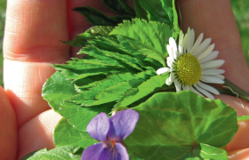 Delicious ingredients from the Nature Park 