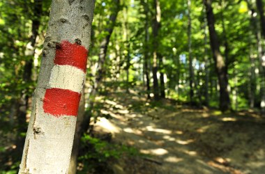 Gut markierte Wege im Wald, © Naturpark Purkersdorf
