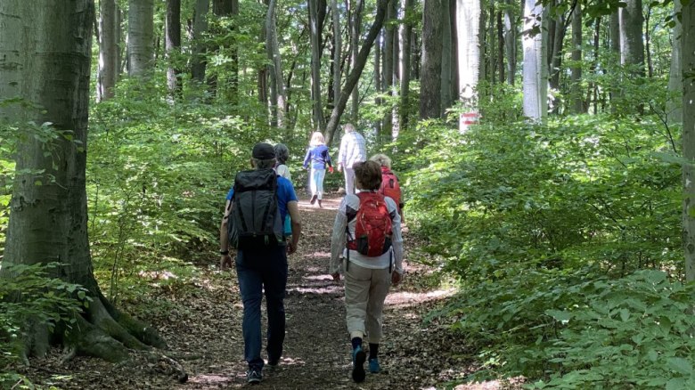 Wandern im Naturpark, © Naturpark Purkersdorf