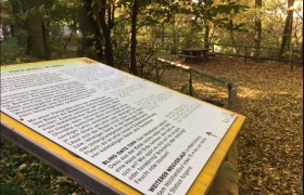Blind Date Station mit Informationstafel mit tastbarer Schrift zum Thema &quot;Verwurzelt am Waldboden&quot;